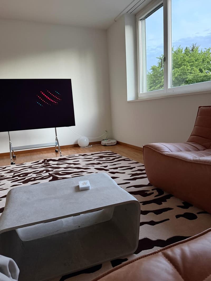 Large room by Lake Zürich (7)