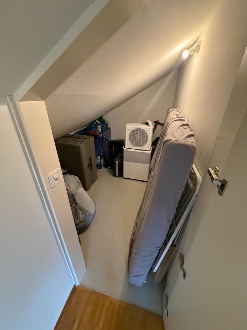 Large room by Lake Zürich (5)