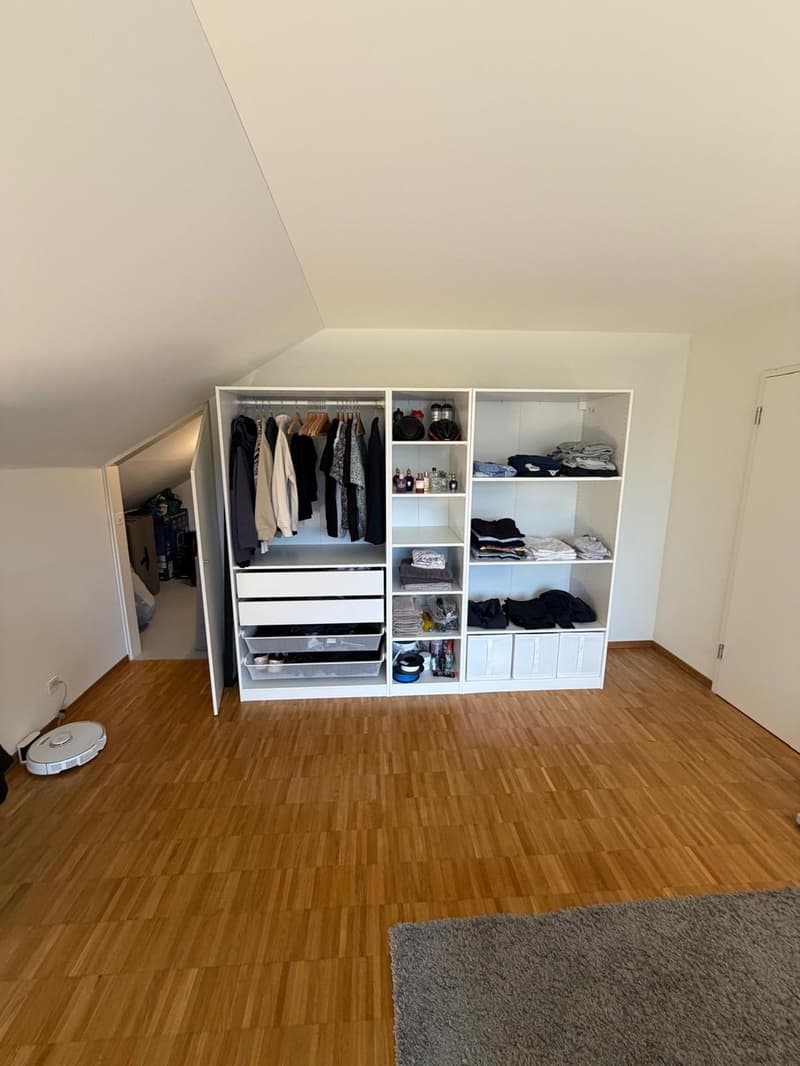 Large room by Lake Zürich (6)