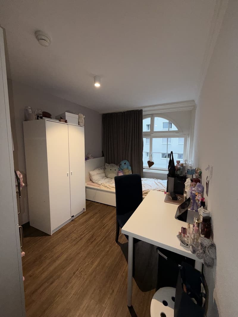 Furnished 1.5-Room Apartment in Lucerne - CHF 990 per Month, Including Utilities (2)