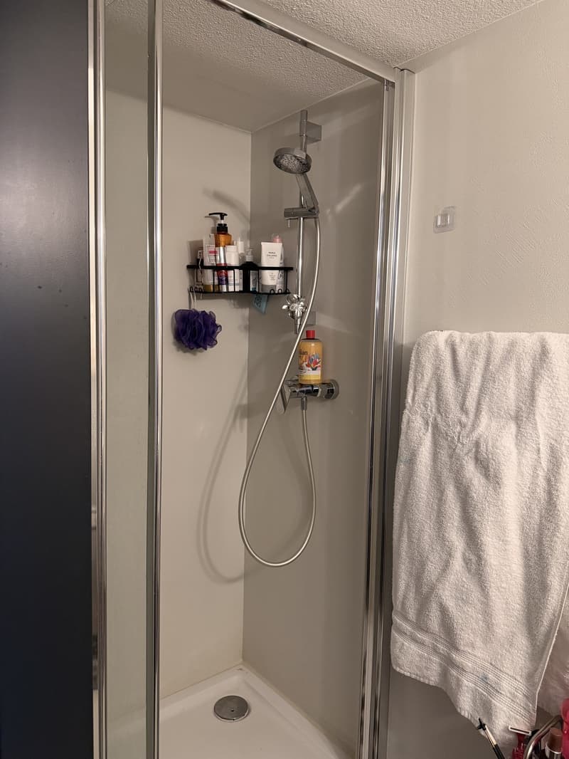 Furnished 1.5-Room Apartment in Lucerne - CHF 990 per Month, Including Utilities (4)