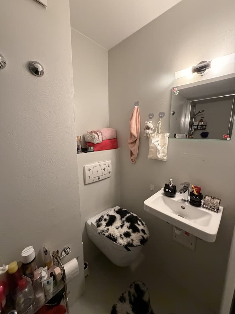 Furnished 1.5-Room Apartment in Lucerne - CHF 990 per Month, Including Utilities (3)