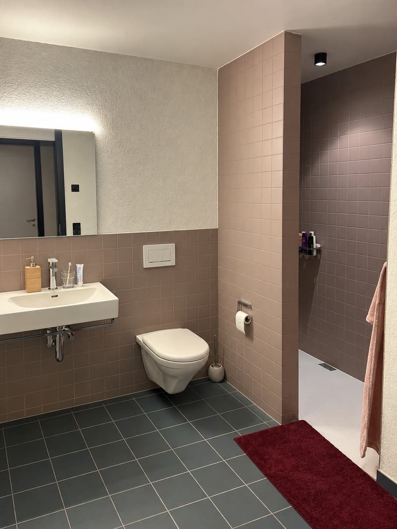 3 ½ Zimmer-Wohnung, 8600 Dübendorf (7)