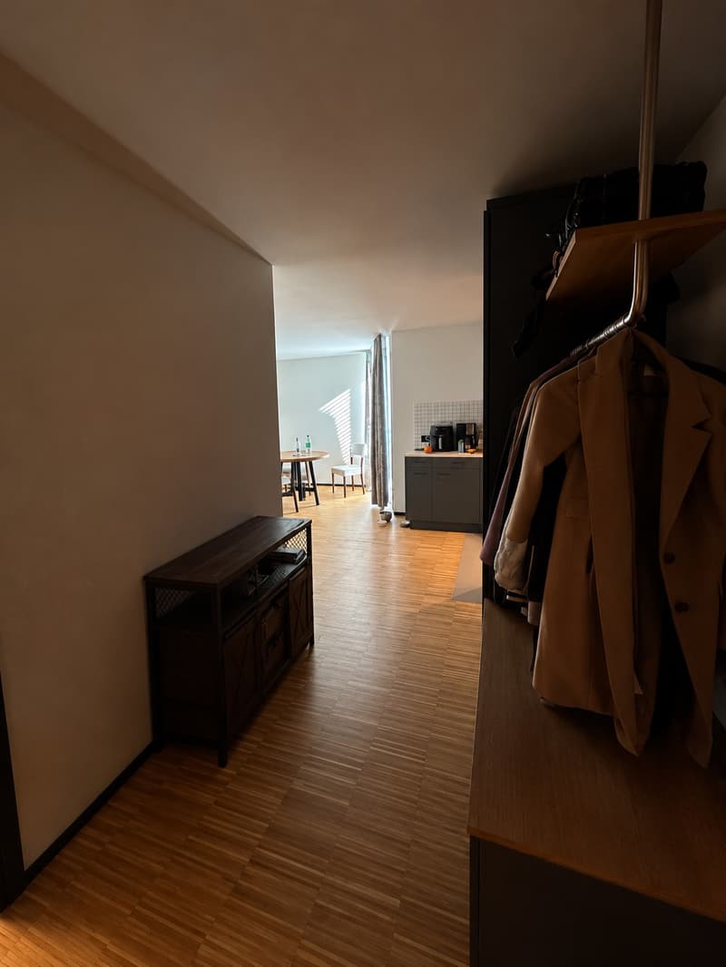 3 ½ Zimmer-Wohnung, 8600 Dübendorf (6)
