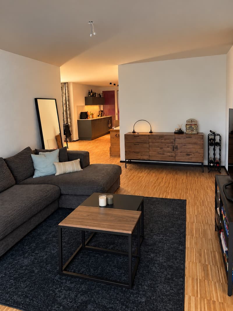 3 ½ Zimmer-Wohnung, 8600 Dübendorf (1)
