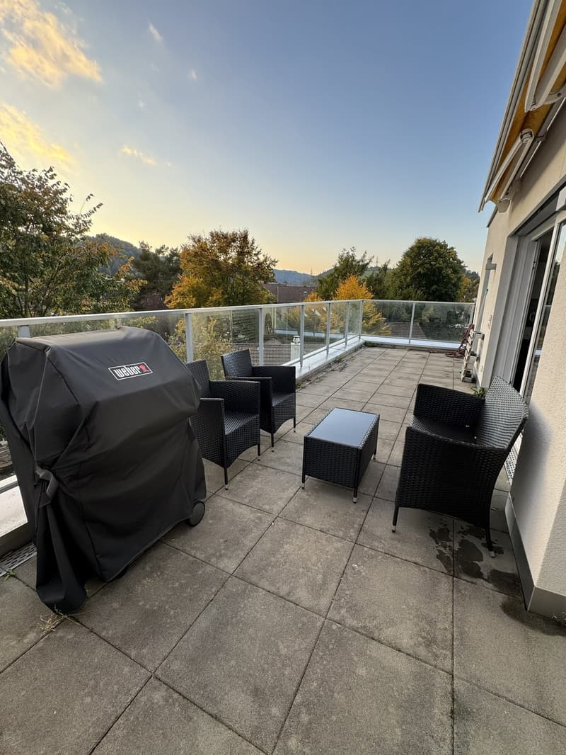 Apartment for rent in Birmensdorf (8)