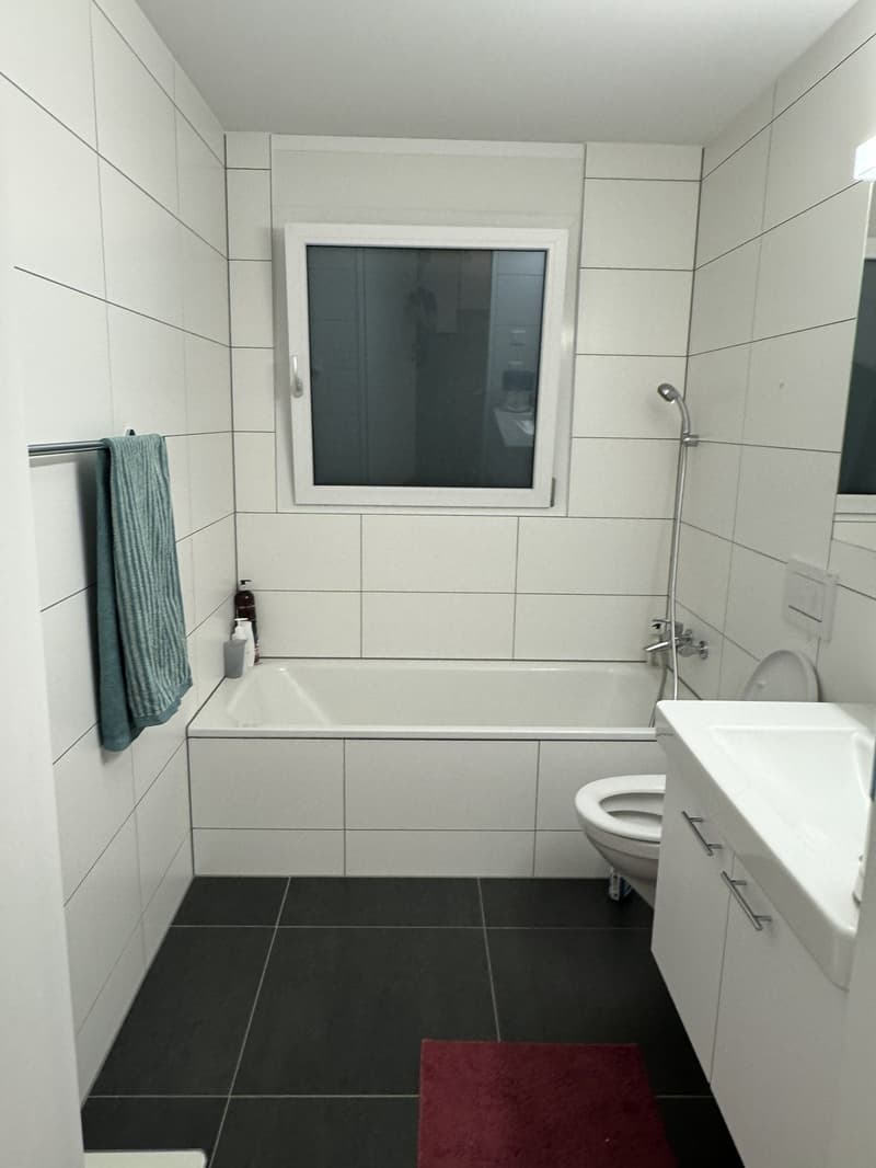 Apartment for rent in Birmensdorf (12)