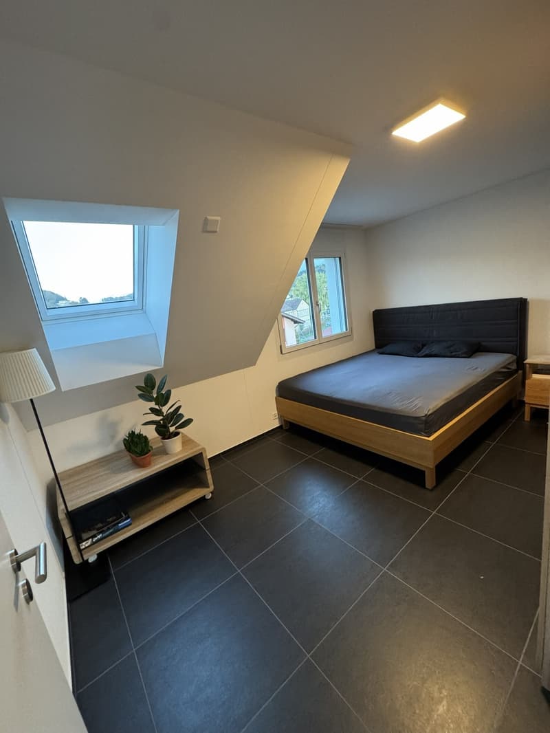 Apartment for rent in Birmensdorf (7)