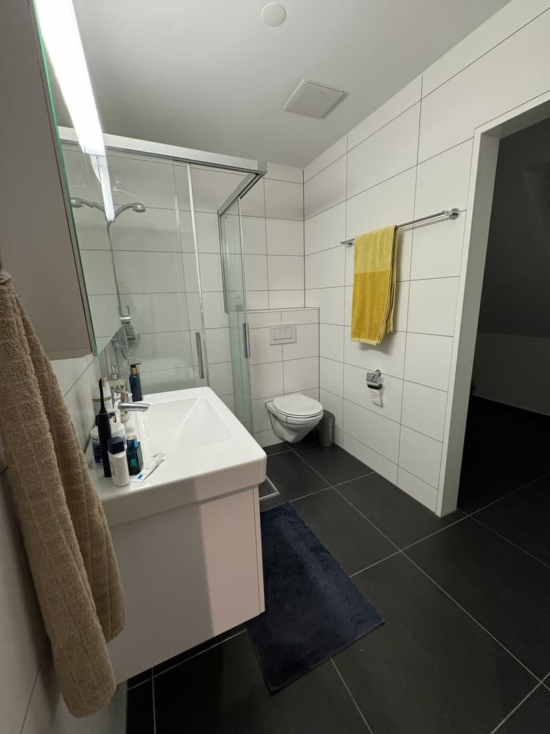 Apartment for rent in Birmensdorf (10)