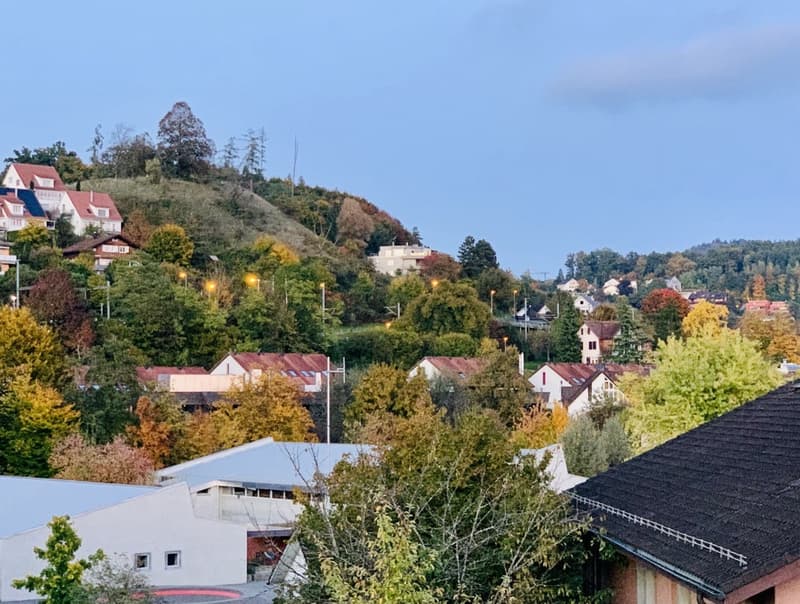 Apartment for rent in Birmensdorf (9)