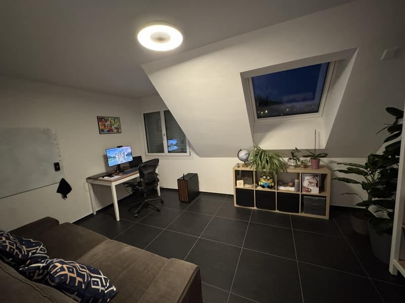 Apartment for rent in Birmensdorf (6)