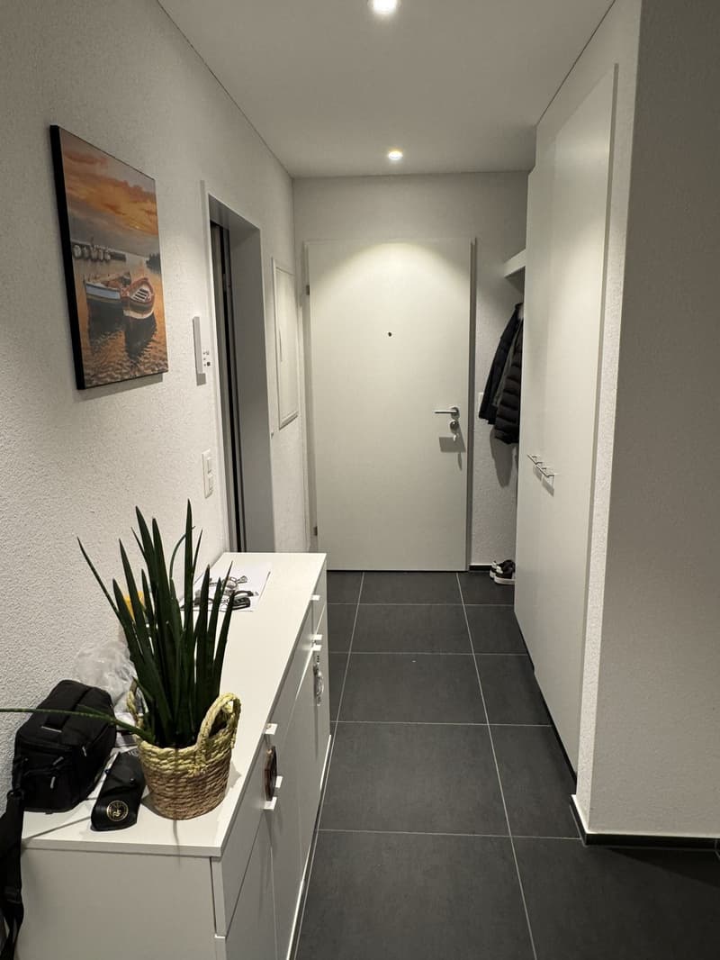 Apartment for rent in Birmensdorf (5)