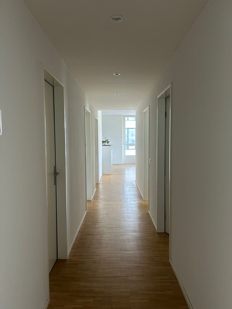WG - Nähe Altstetten Bhf (1)