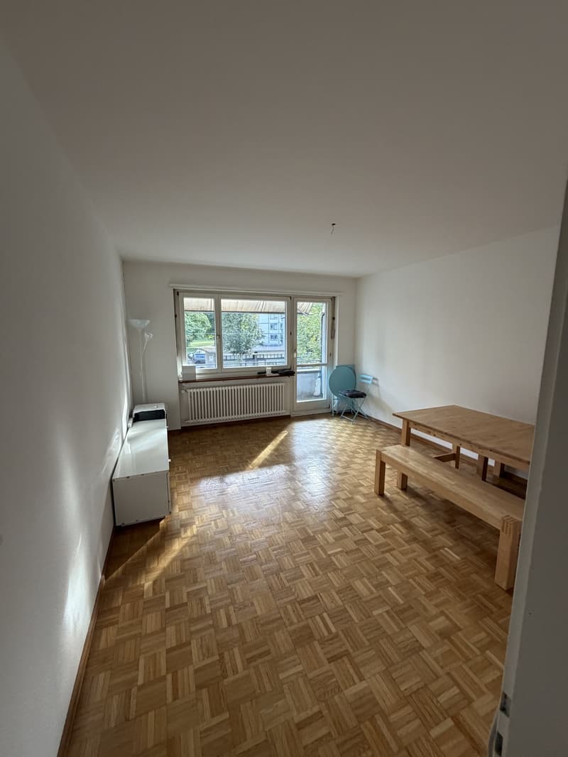 Bright and spacious room in Zurich City (7)