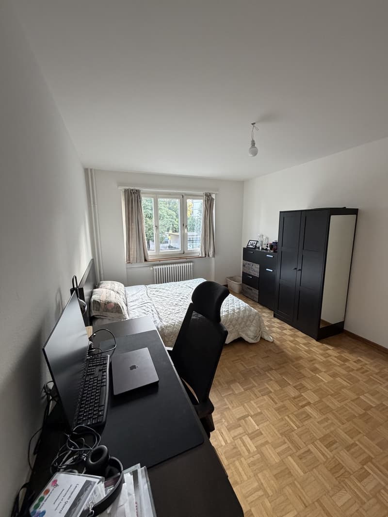 Bright and spacious room in Zurich City (1)