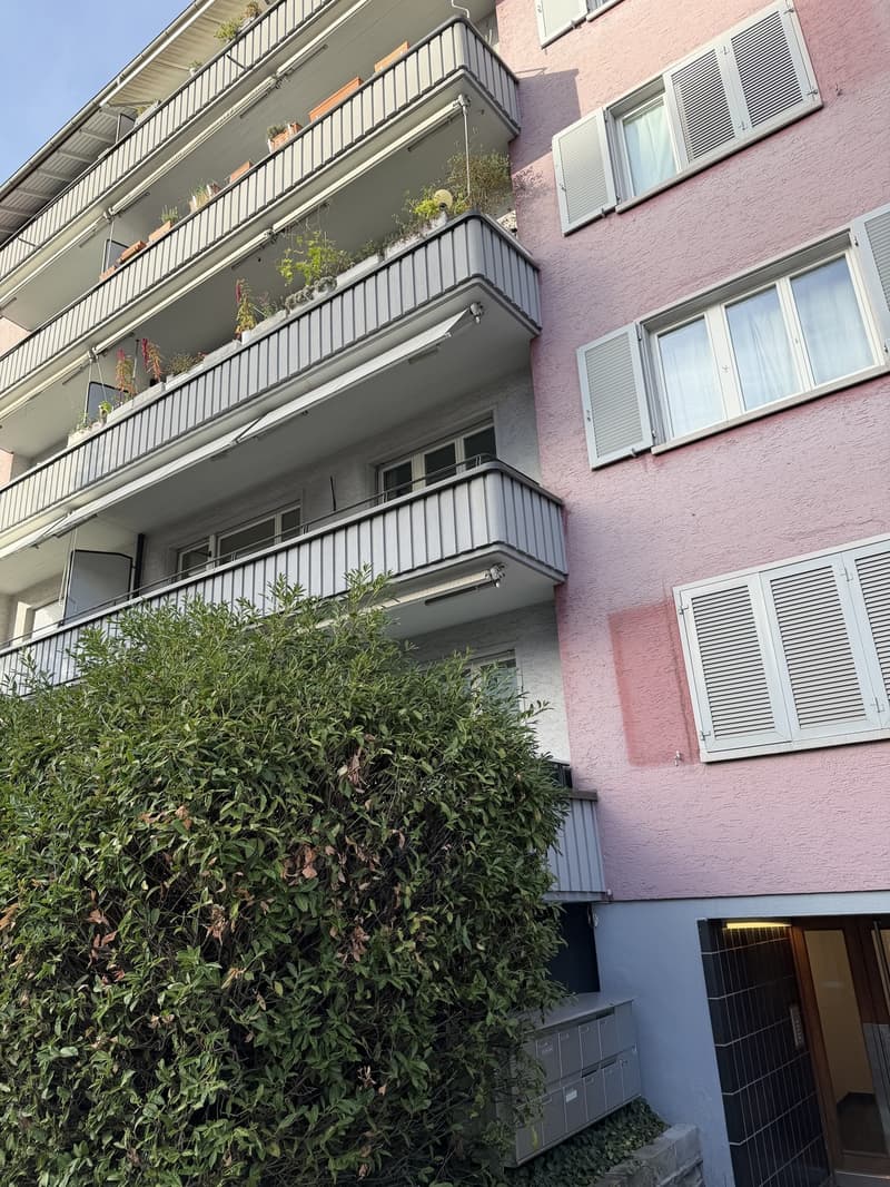 Bright and spacious room in Zurich City (8)