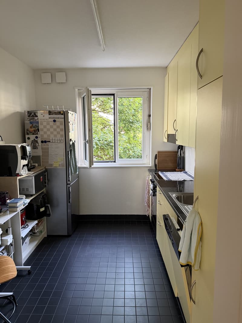 Bright and spacious room in Zurich City (5)
