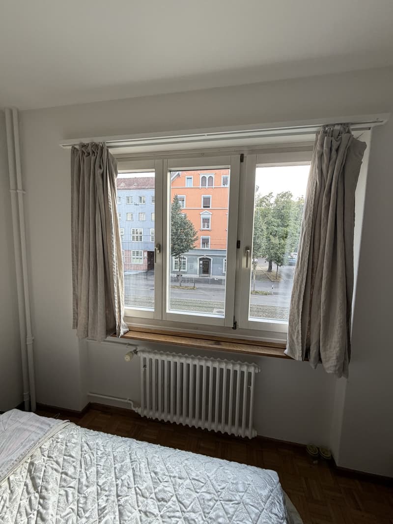Bright and spacious room in Zurich City (3)