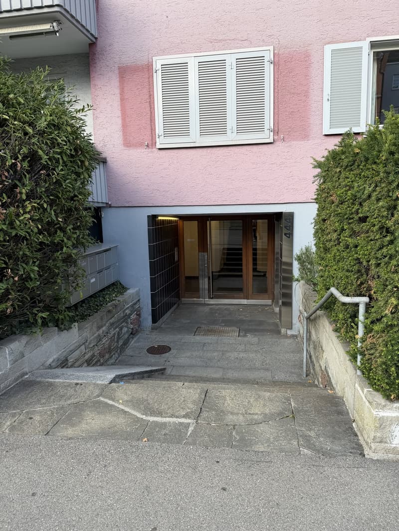 Bright and spacious room in Zurich City (9)