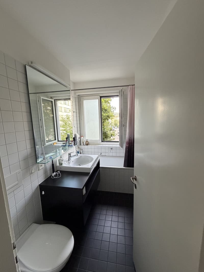 Bright and spacious room in Zurich City (4)