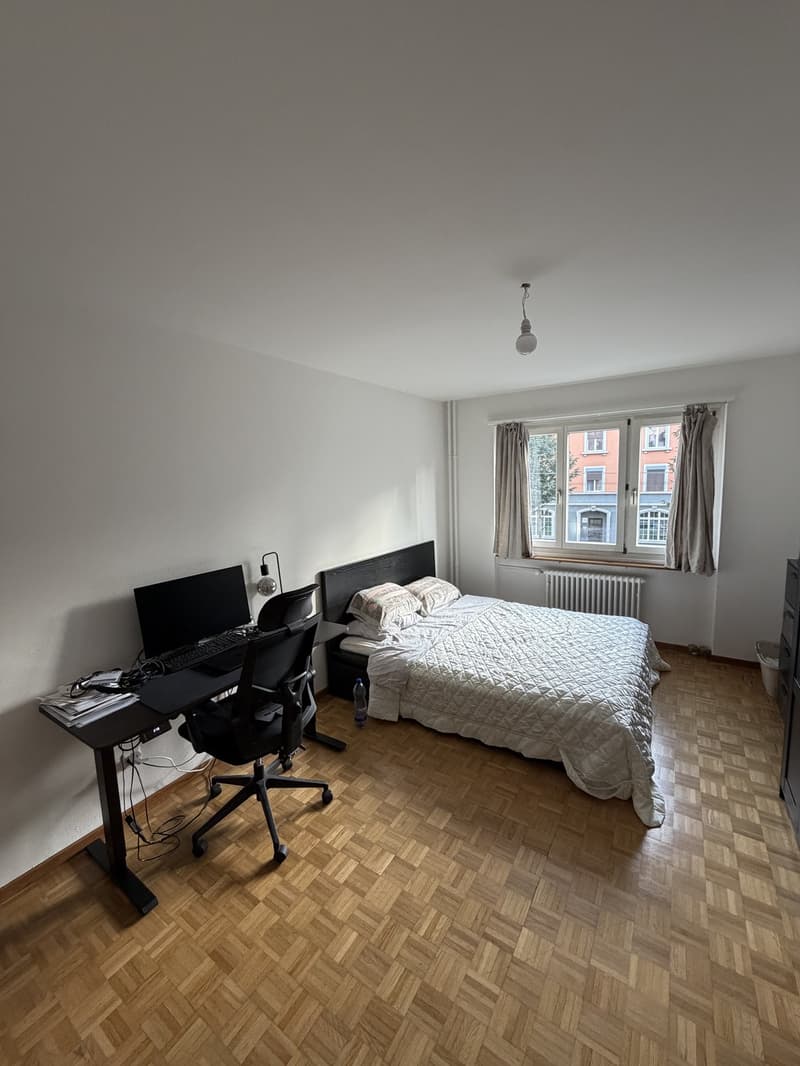 Bright and spacious room in Zurich City (2)