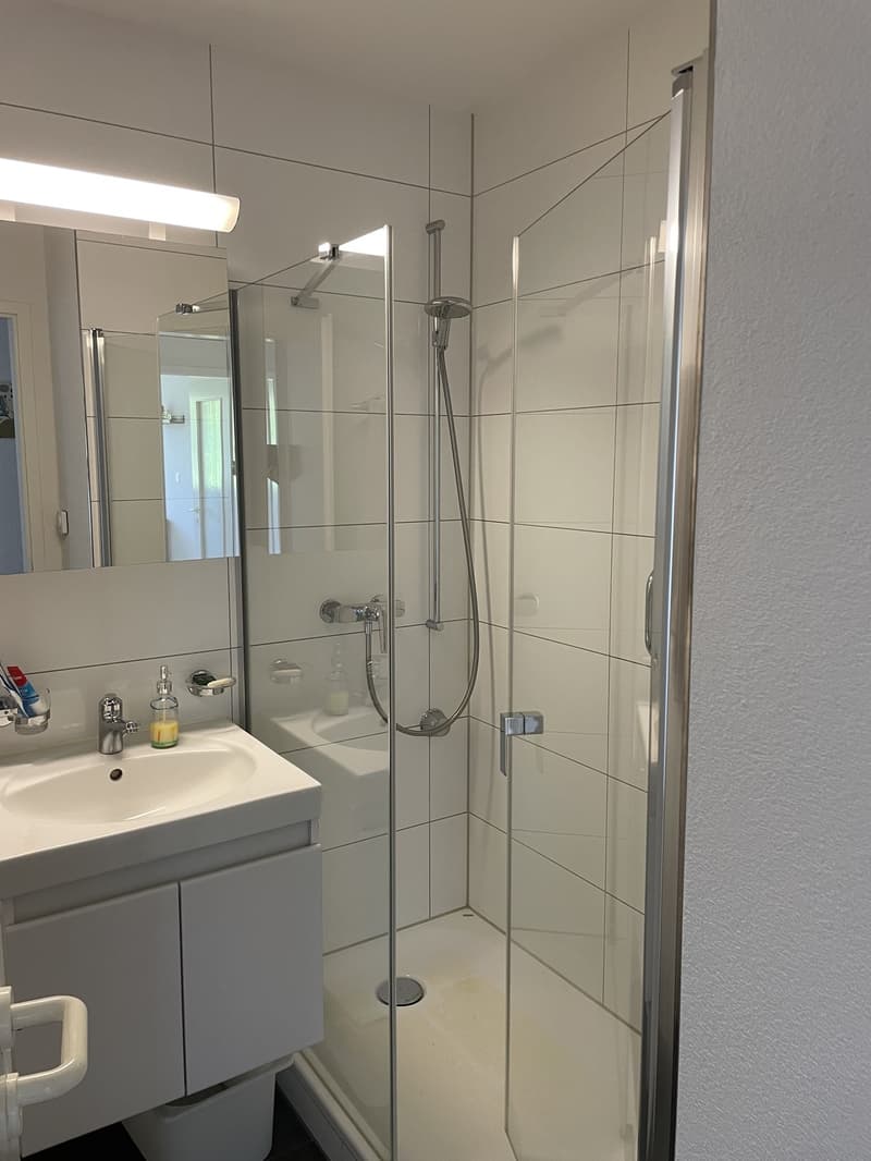 Zimmer in 4-Zimmer Wohnung (6)