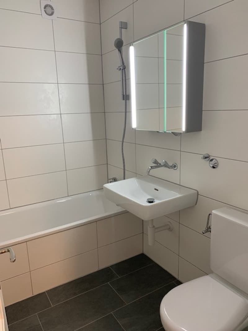 3.5 Zimmer Wohnung nähe Eigerplatz (8)