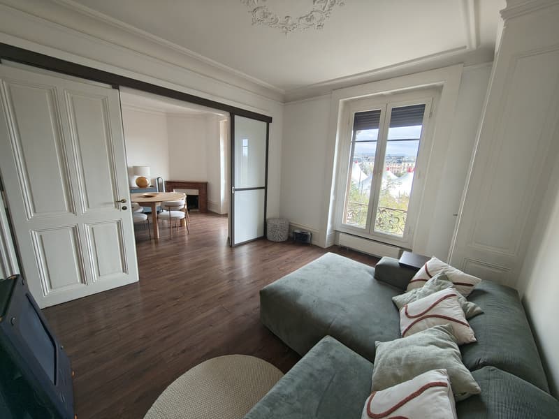 Plainpalais, balcon avec vue sur le Salève (4)