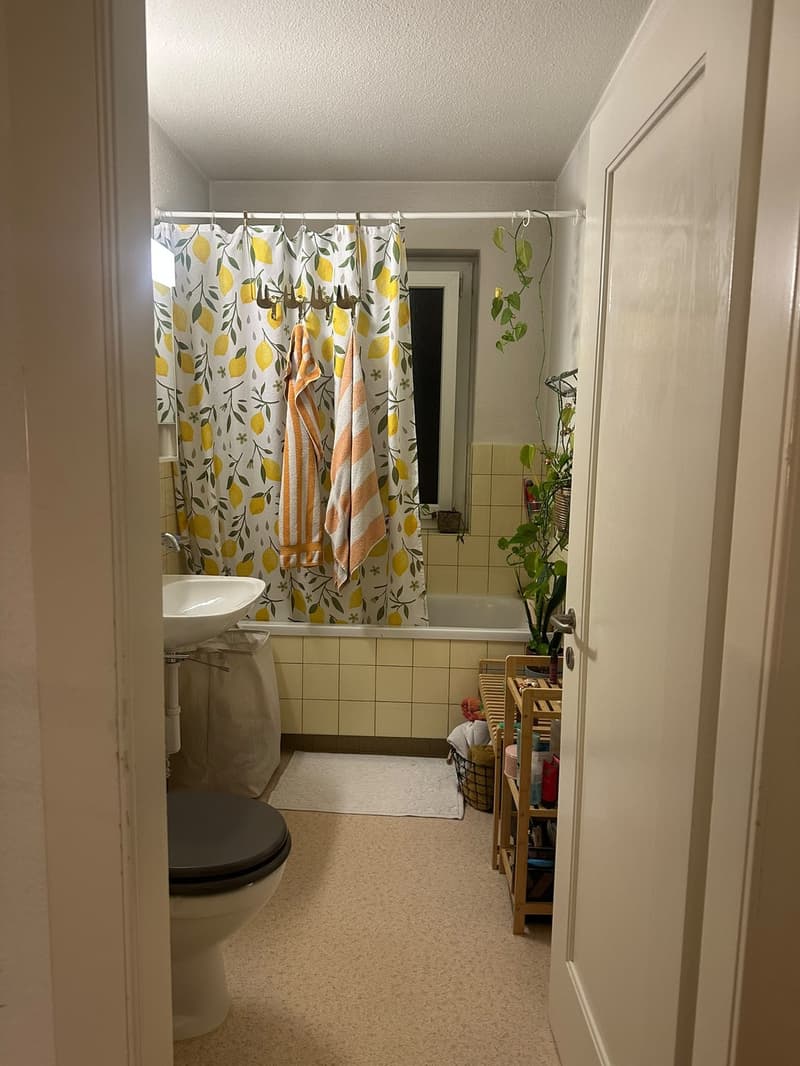 WG-Zimmer in schöner 3-Zimmerwohnung (9)