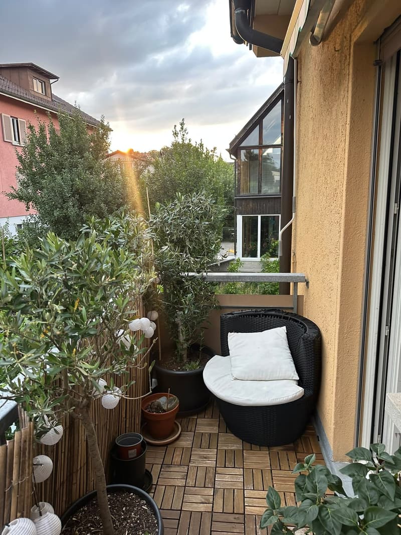WG-Zimmer in schöner 3-Zimmerwohnung (2)