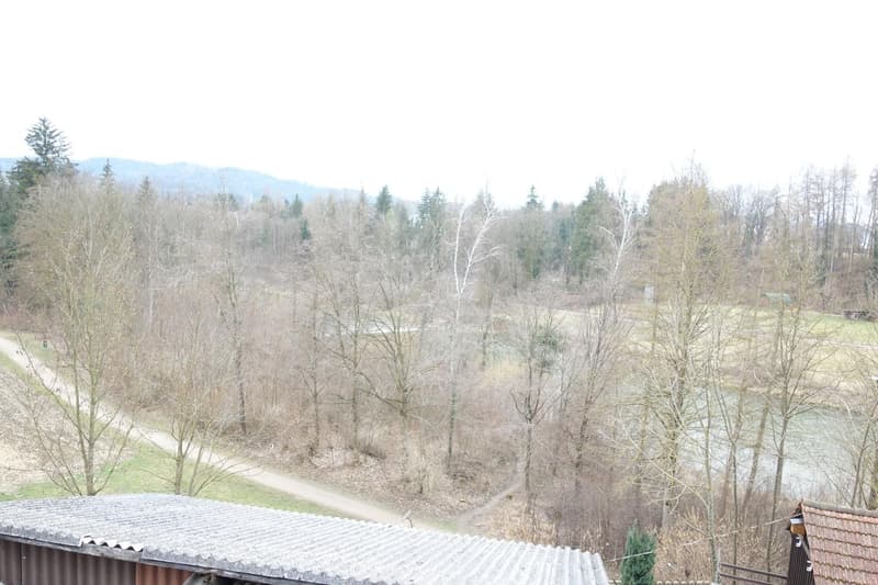 "Ihre Traumwohnung 5.5 Zimmer Dachgeschoss 160 m2" hohe Raumhöhe (11)