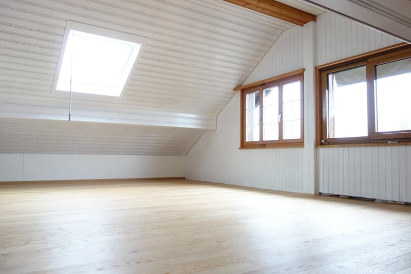"Ihre Traumwohnung 5.5 Zimmer Dachgeschoss 160 m2" hohe Raumhöhe (8)