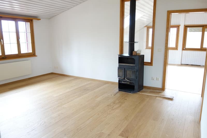"Ihre Traumwohnung 5.5 Zimmer Dachgeschoss 160 m2" hohe Raumhöhe (1)