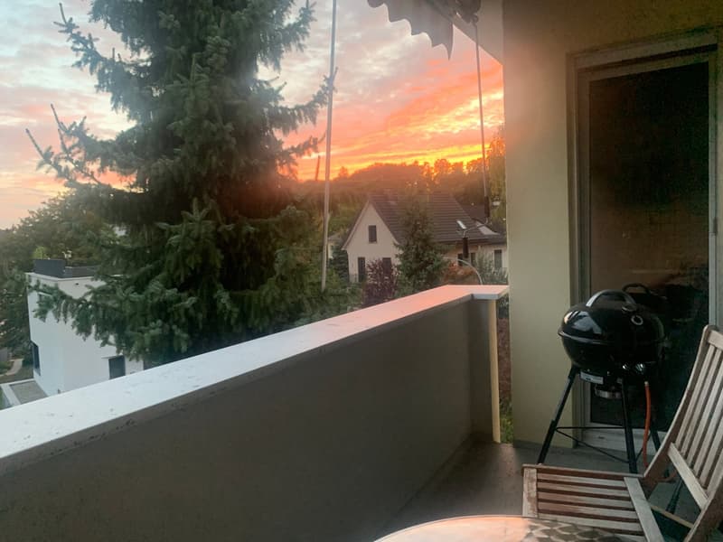 Befristet 2 Monate (Dez-Feb): Möblierte 1-Zi-Wohnung mit Balkon, Effretikon (2)