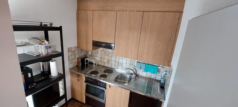 Befristet 2 Monate (Dez-Feb): Möblierte 1-Zi-Wohnung mit Balkon, Effretikon (5)