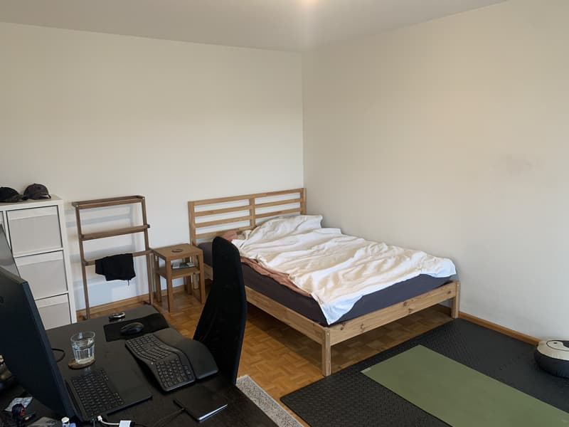 Befristet 2 Monate (Dez-Feb): Möblierte 1-Zi-Wohnung mit Balkon, Effretikon (1)