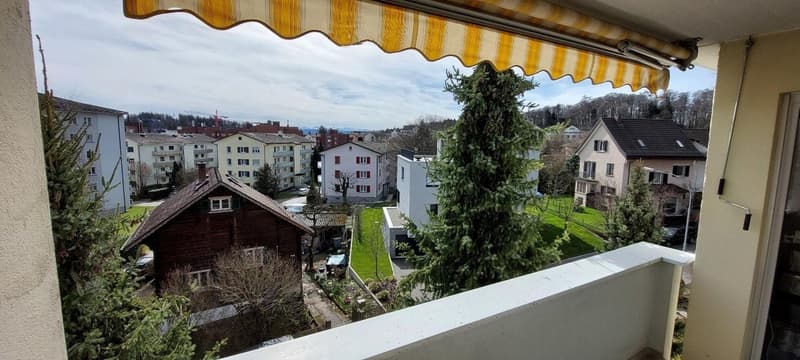 Befristet 2 Monate (Dez-Feb): Möblierte 1-Zi-Wohnung mit Balkon, Effretikon (4)