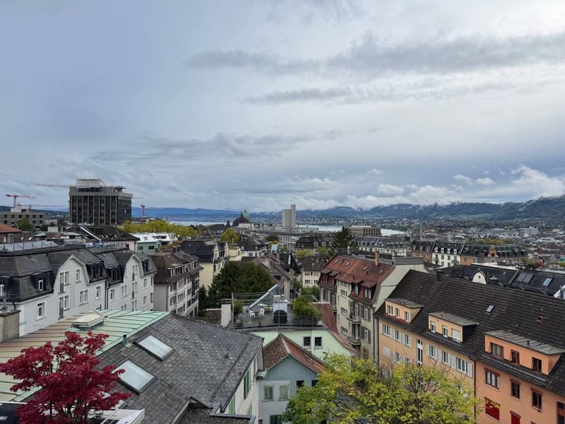 1.5 room apartment in central Zurich 5 mins walk to ETH (2)
