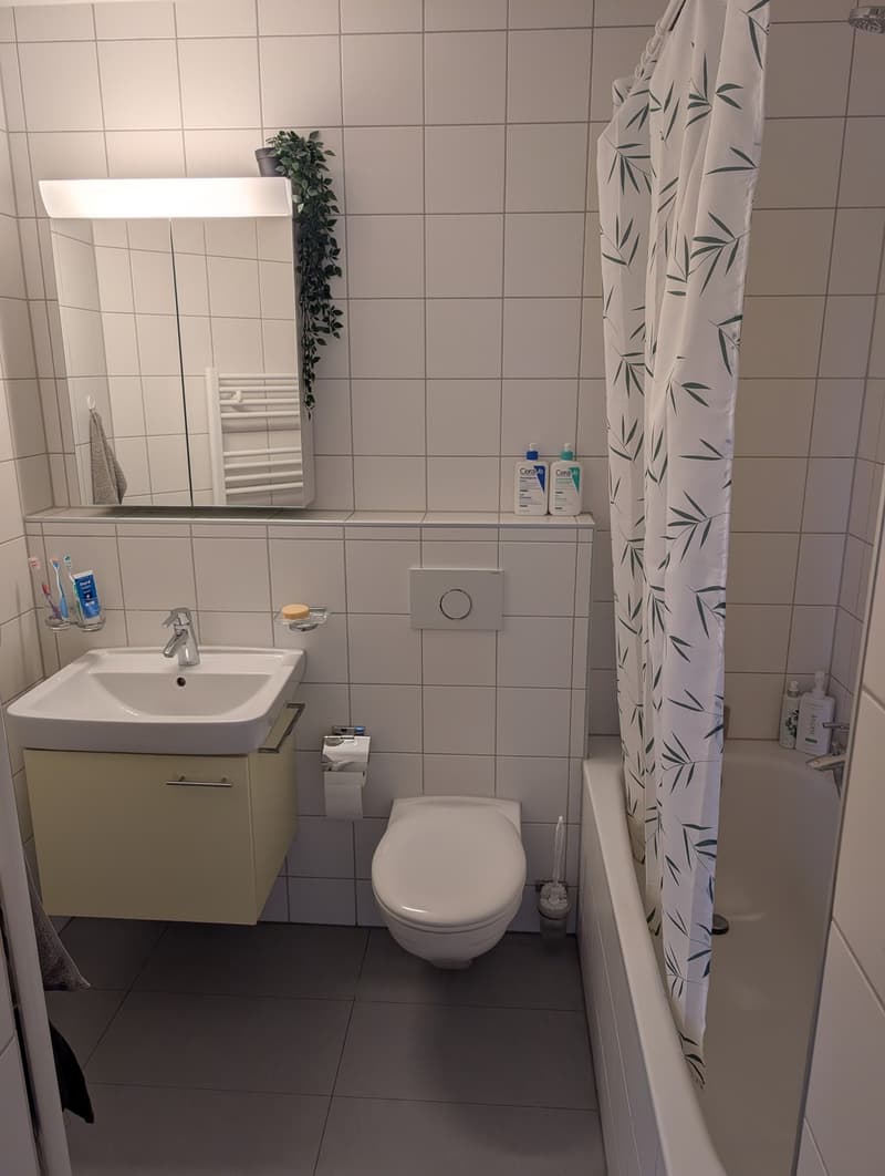 Helle 2.5-Zimmer-Wohnung im Spiegel (7)