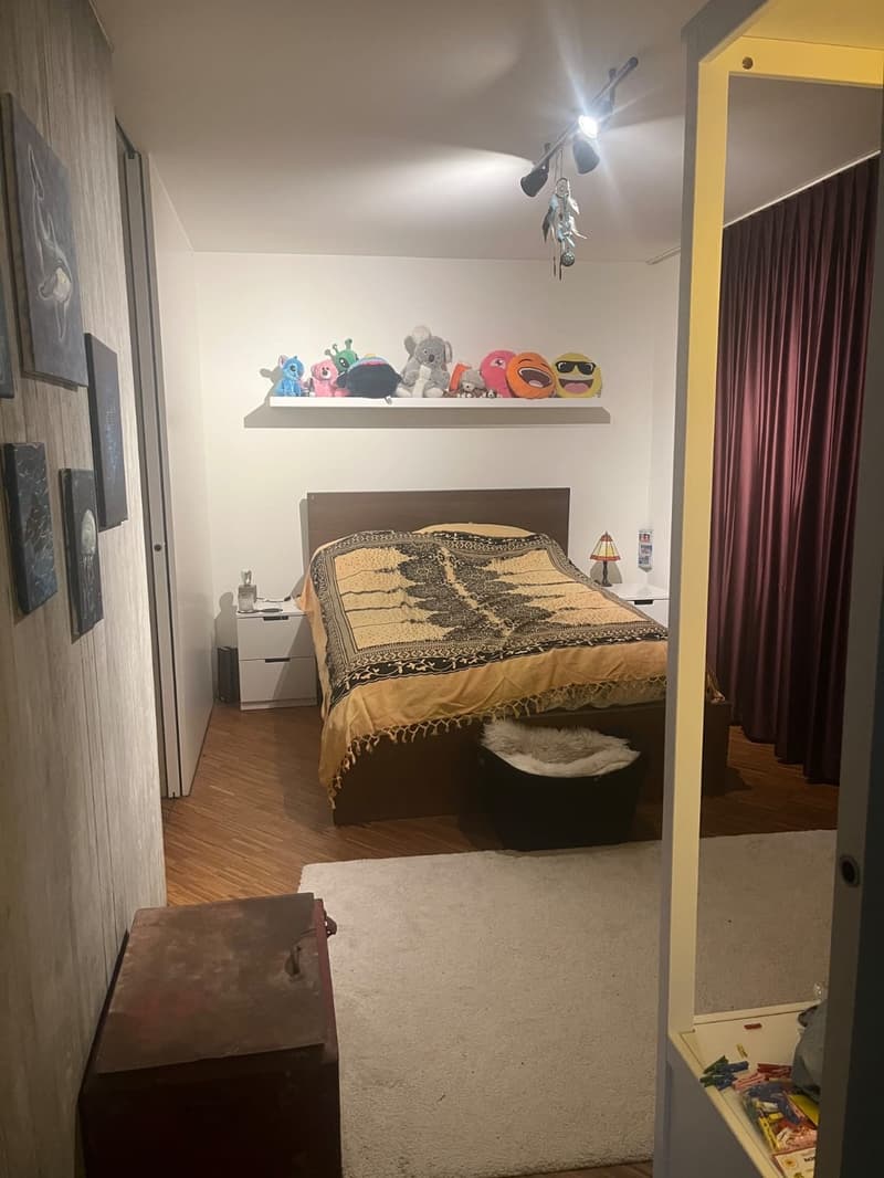 helle 3.5 Zi. Wohnung in Aarau (6)