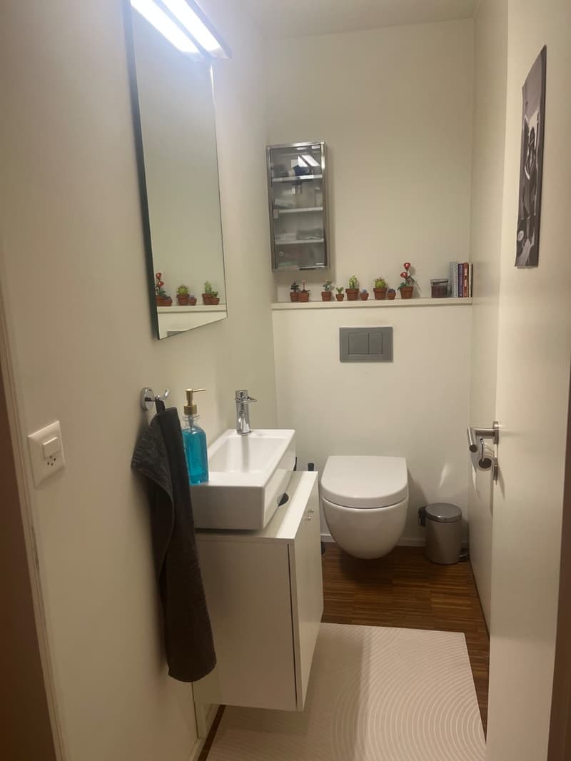 helle 3.5 Zi. Wohnung in Aarau (11)
