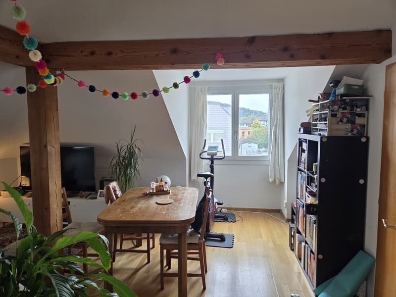 Bright spacious attic apartment (2)