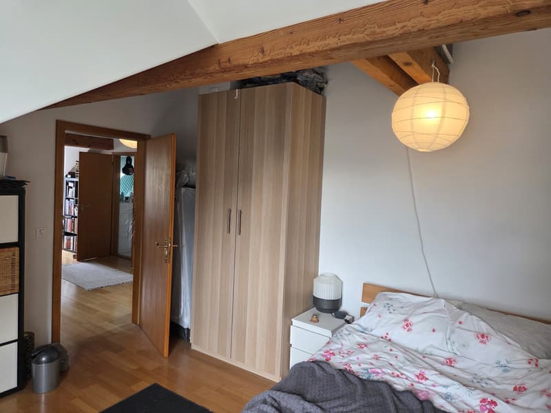 Bright spacious attic apartment (7)