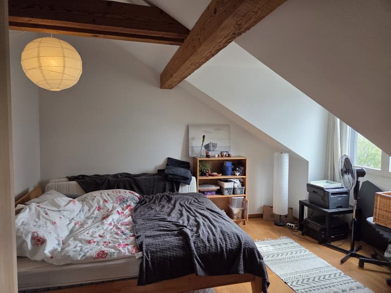 Bright spacious attic apartment (6)