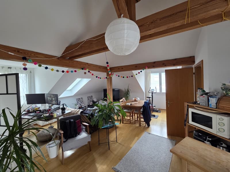 Bright spacious attic apartment (1)