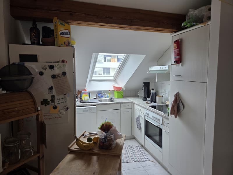 Bright spacious attic apartment (5)