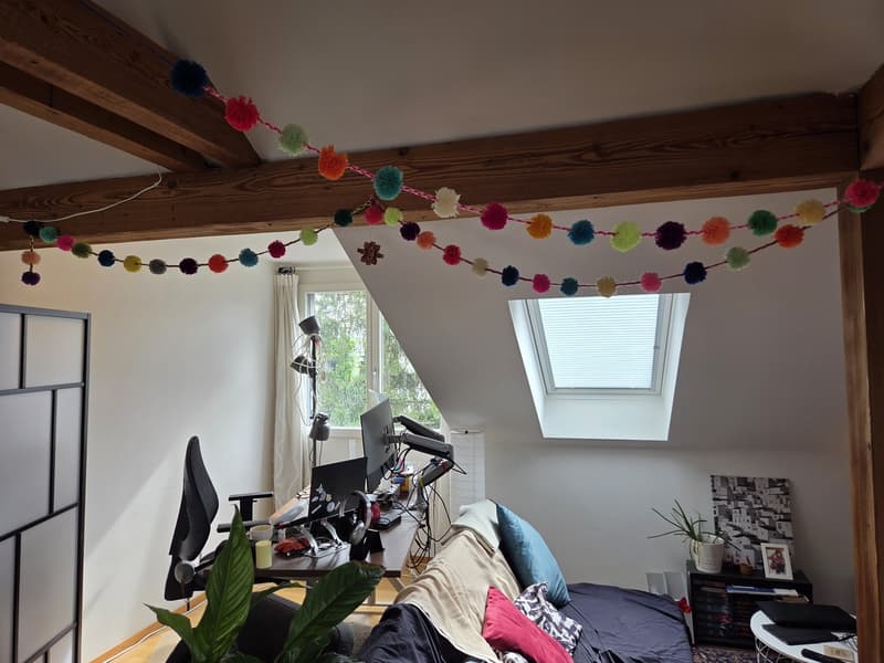 Bright spacious attic apartment (4)
