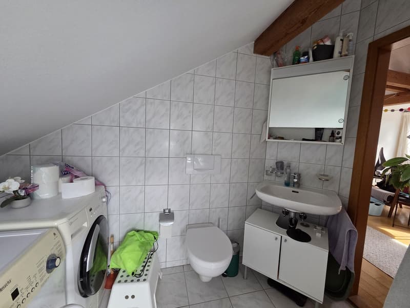 Bright spacious attic apartment (9)