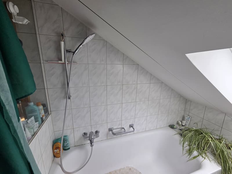 Bright spacious attic apartment (10)