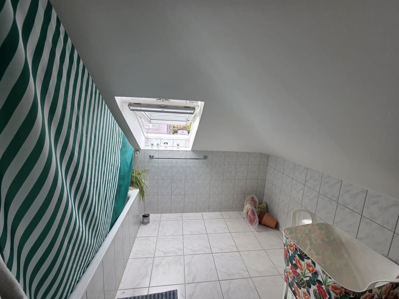Bright spacious attic apartment (11)